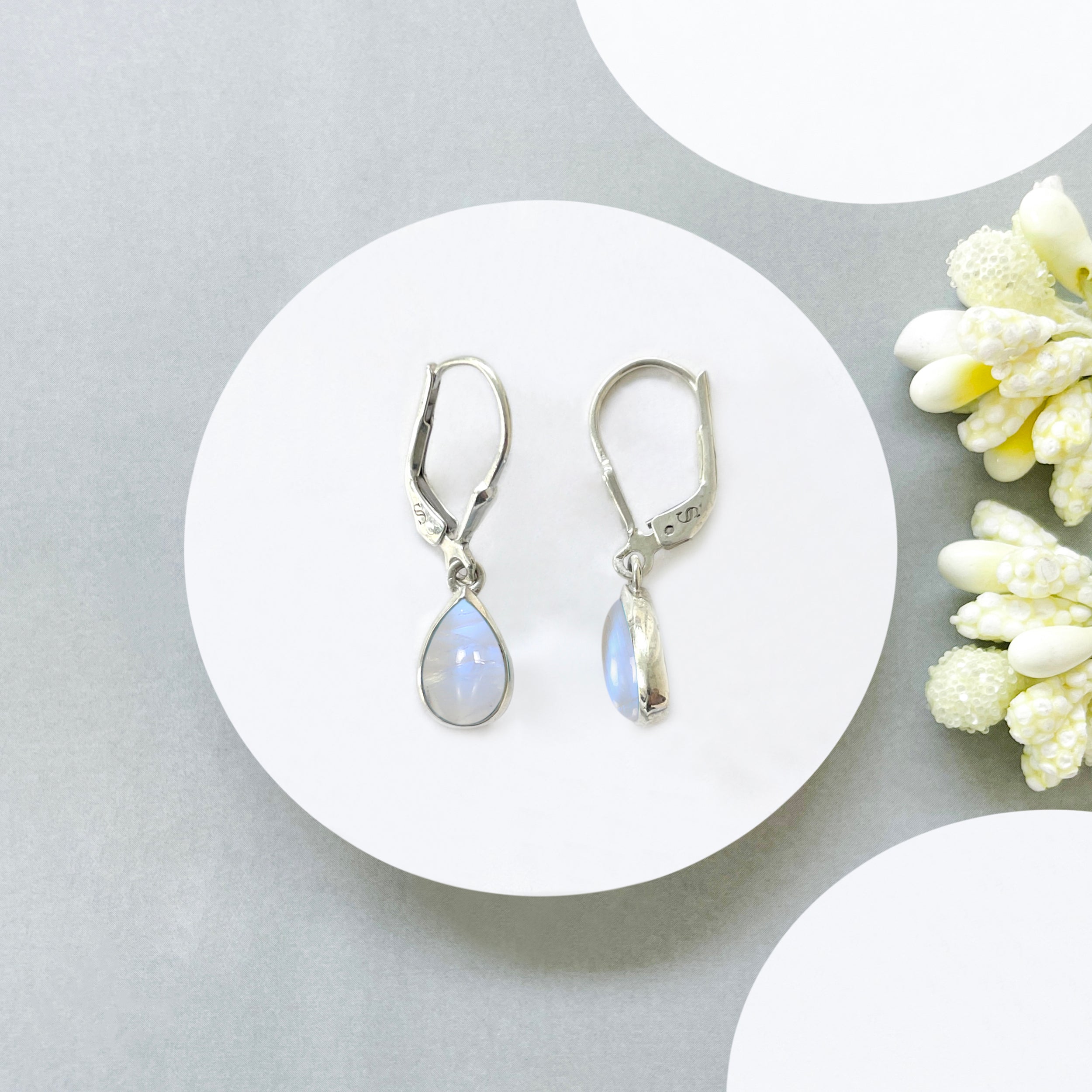 Moonstone Leverback Earring-(RBM-SE-1117.)