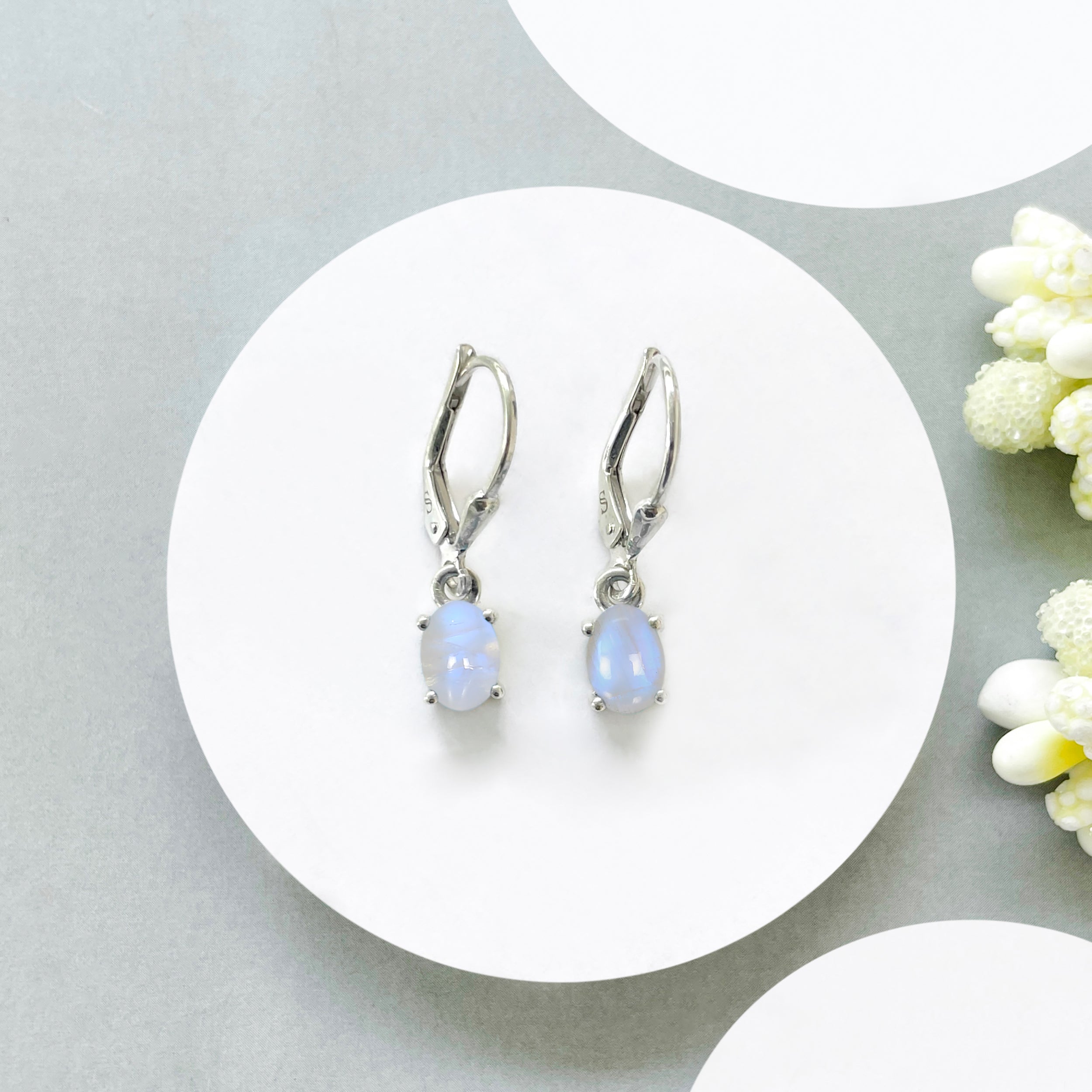 Moonstone Leverback Earring-(RBM-SE-1177.)