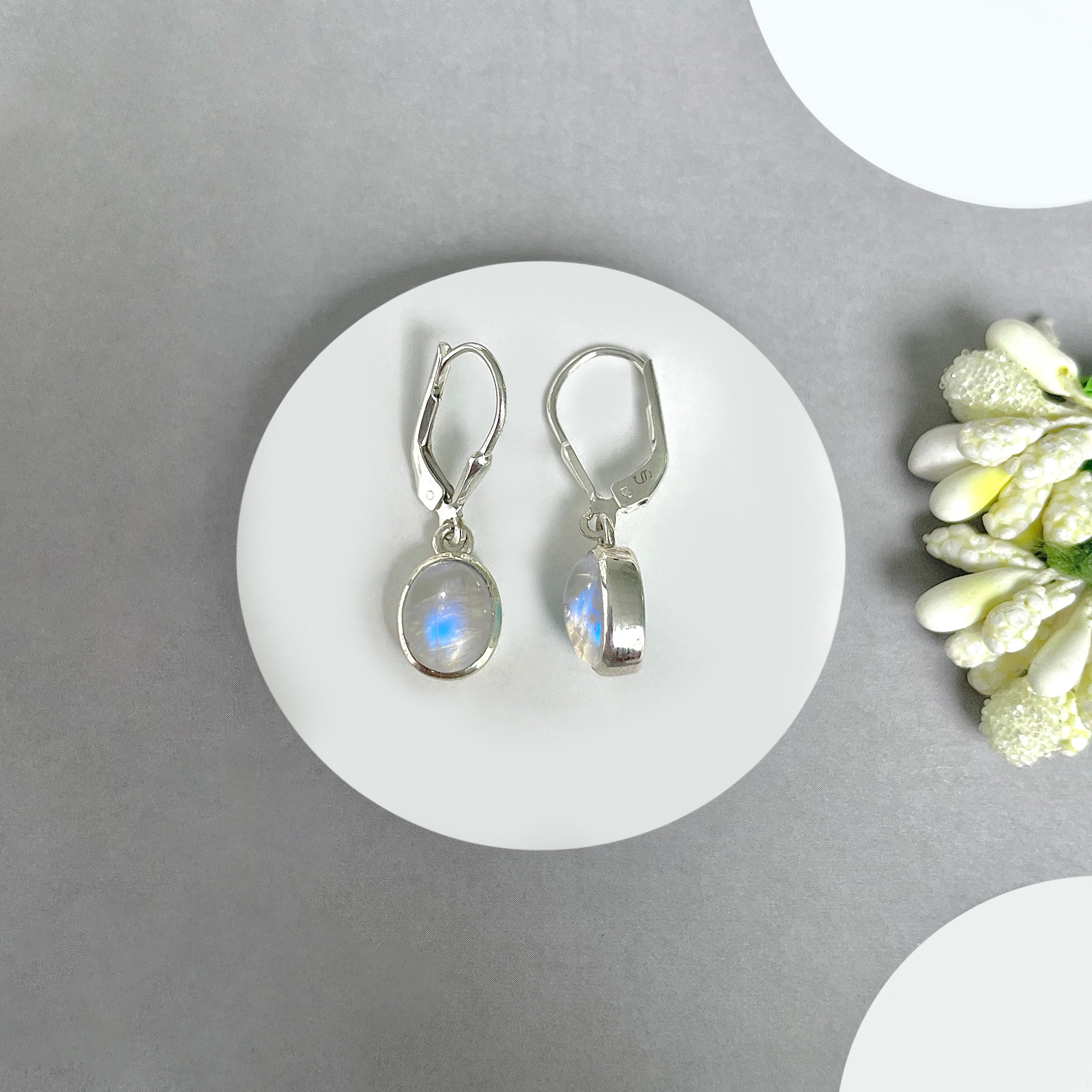 Moonstone Leverback Earrings-(RBM-SE-1232.)
