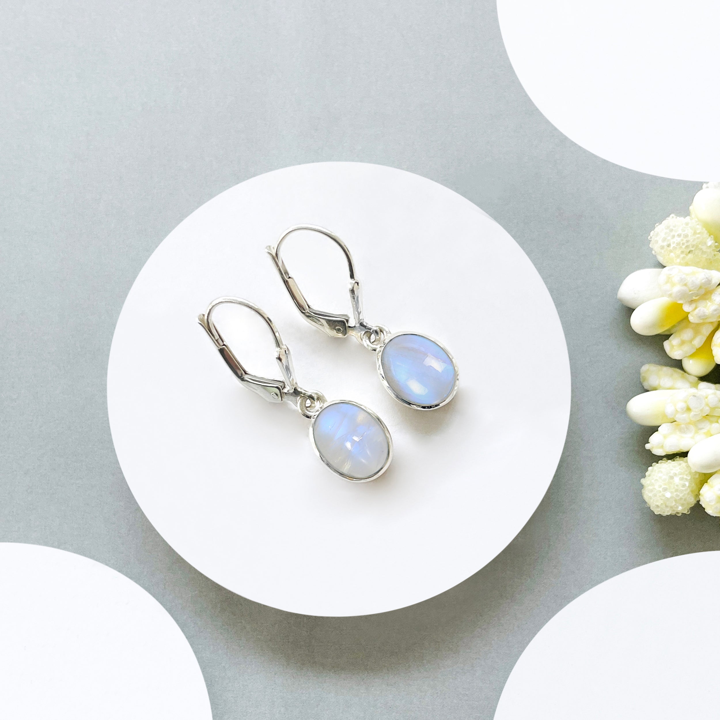 Moonstone Leverback Earring-(RBM-SE-1232.)