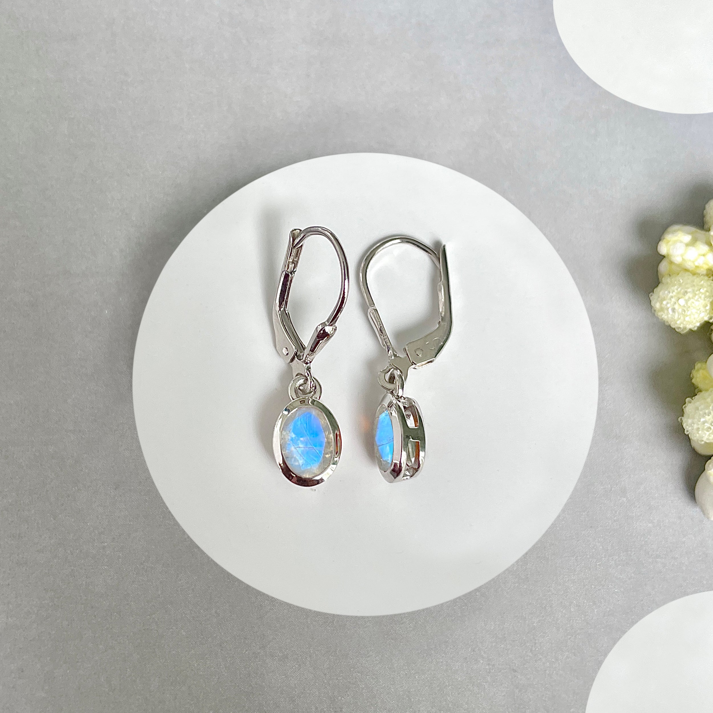 Moonstone Leverback Earrings-(RBM-SE-1316.)