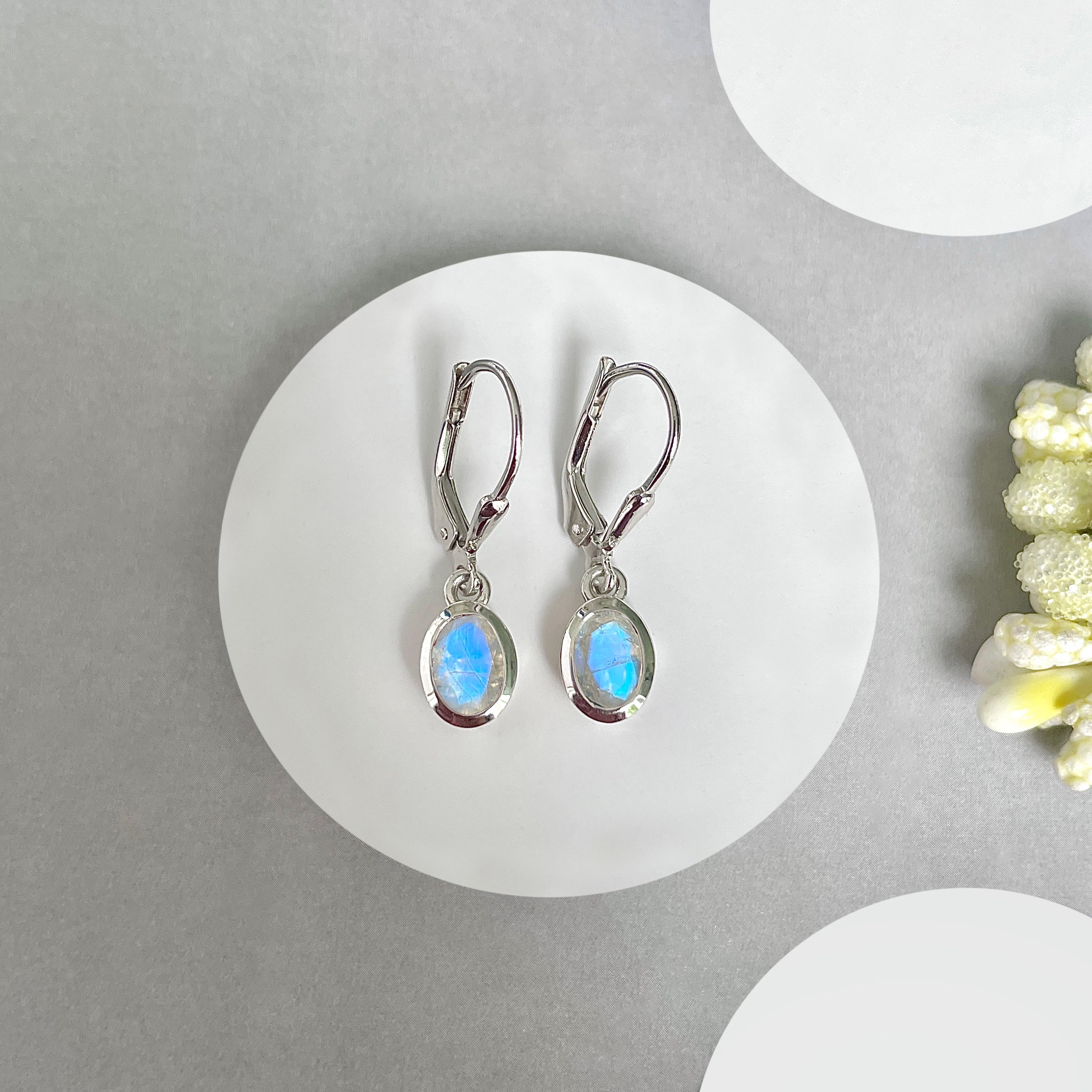 Moonstone Leverback Earrings-(RBM-SE-1316.)