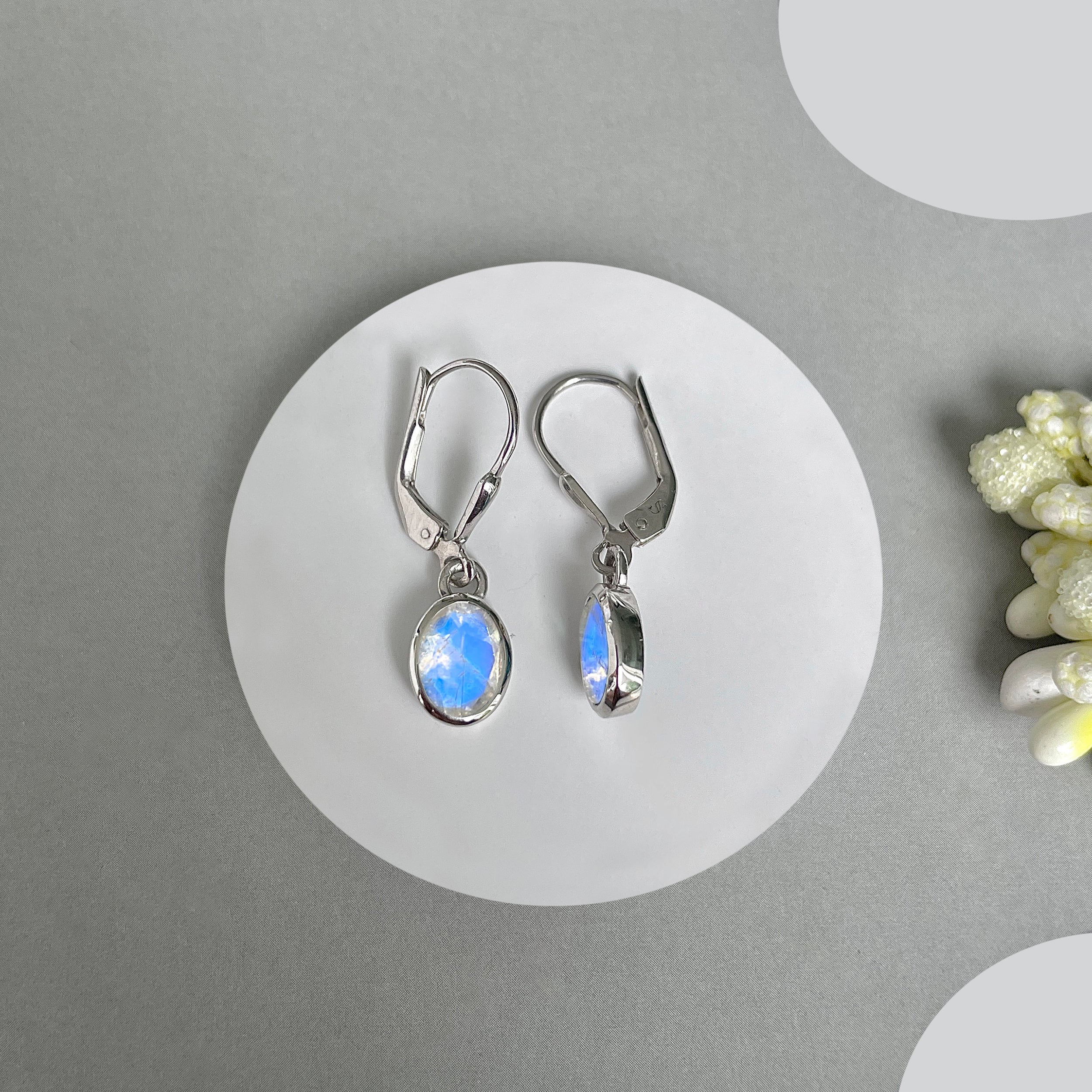 Moonstone Leverback Earrings-(RBM-SE-547.)