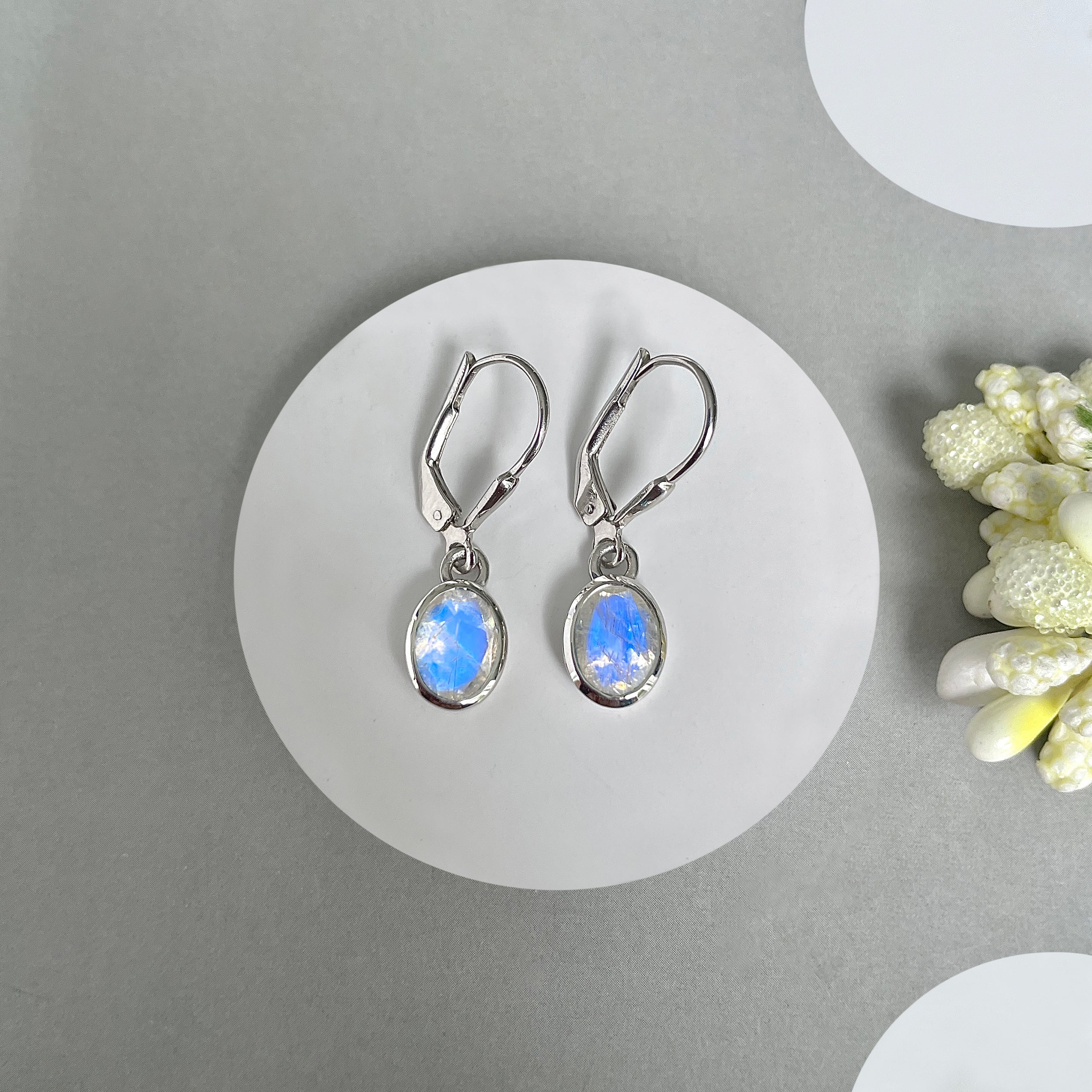 Moonstone Leverback Earrings-(RBM-SE-547.)