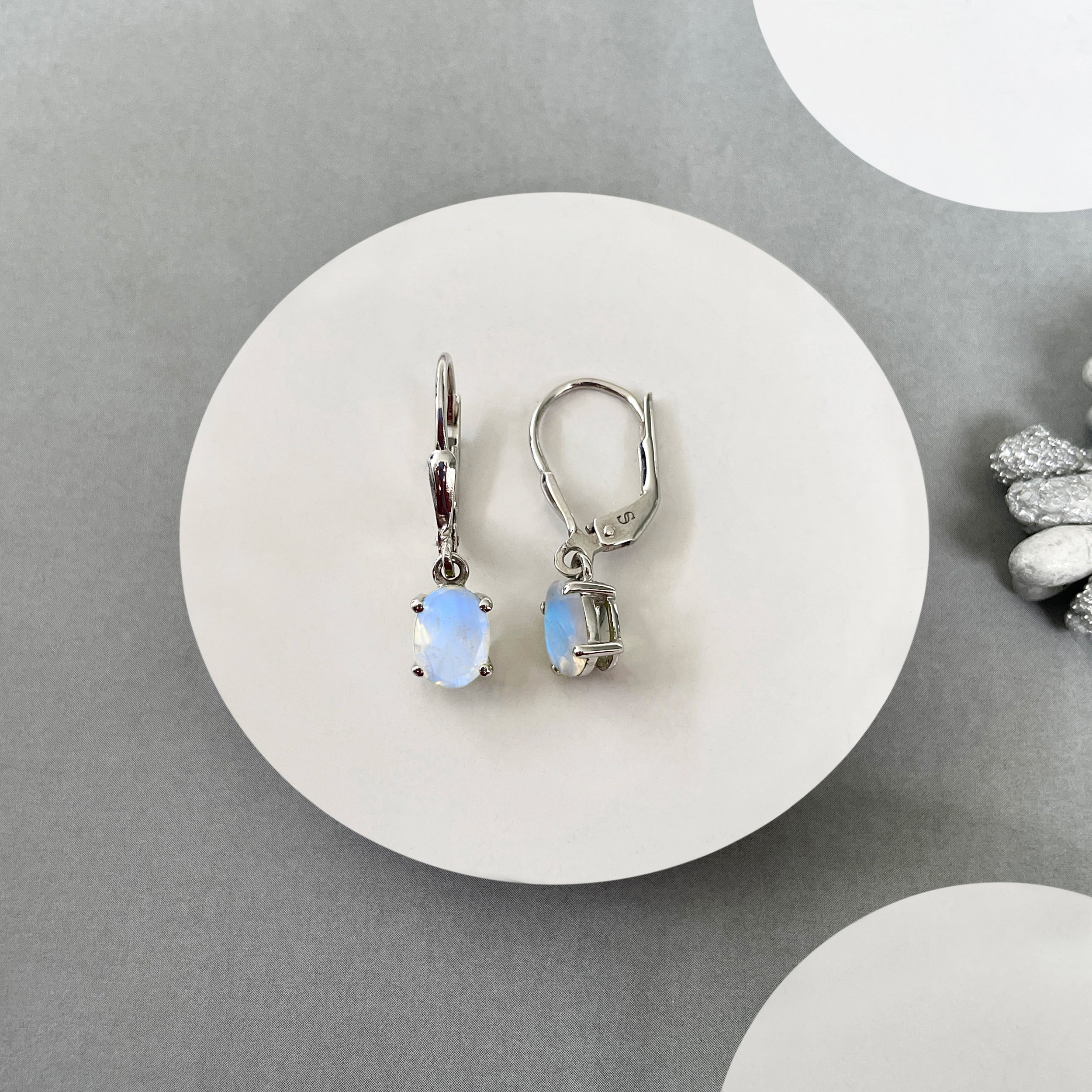 Moonstone Leverback Earrings-(RBM-SE-670.)