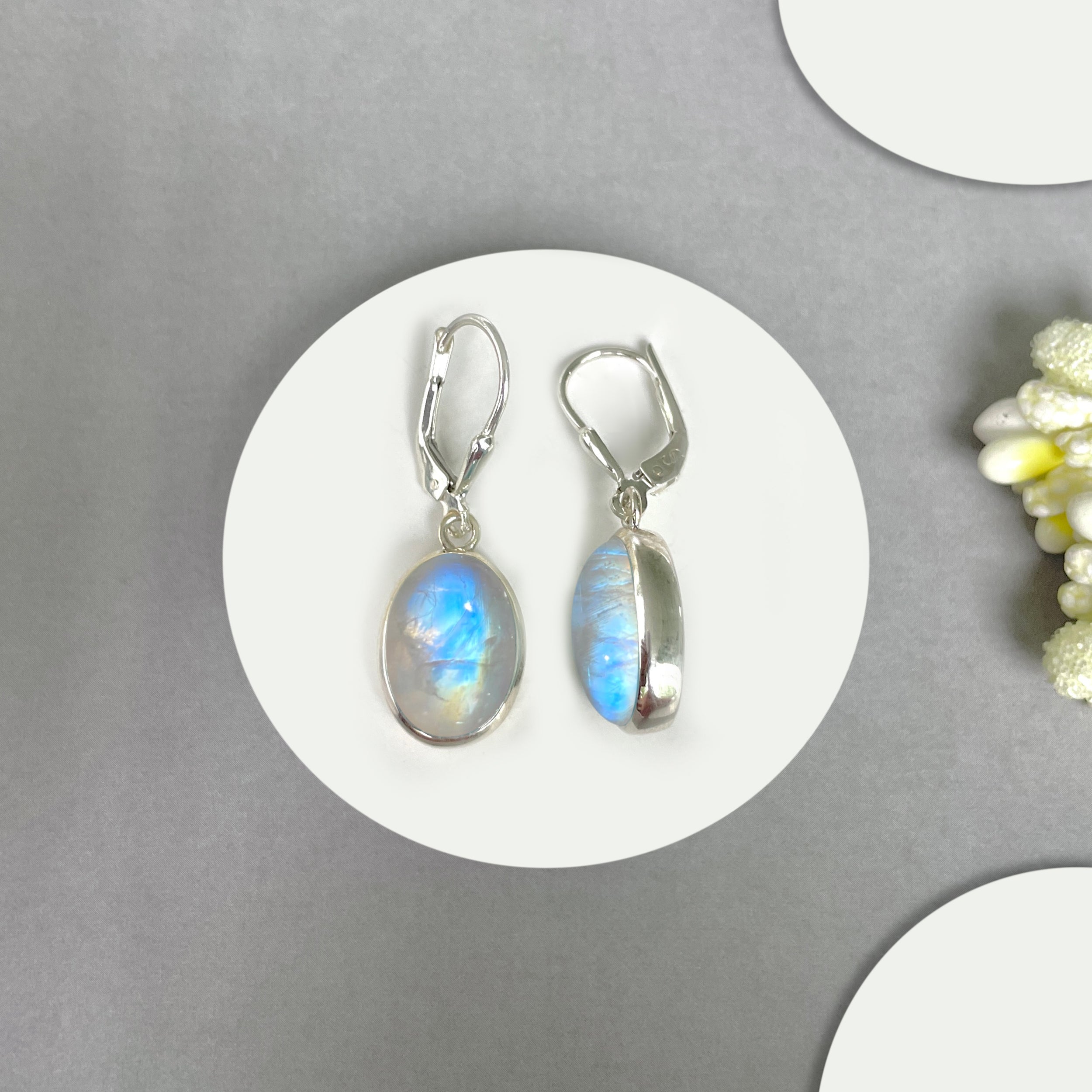 Moonstone Leverback Earrings-(RBM-SE-830.)