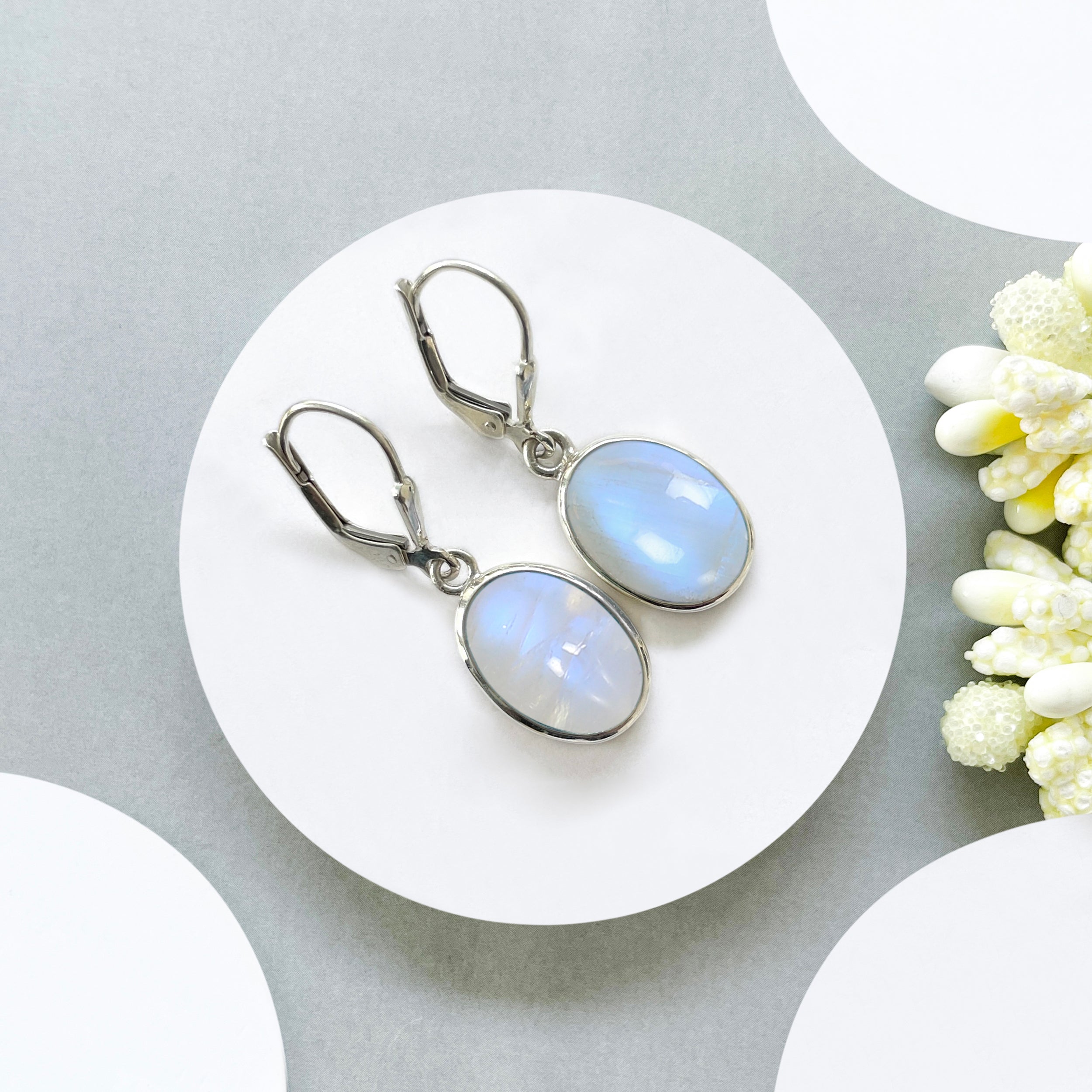 Moonstone Leverback Earring-(RBM-SE-830.)