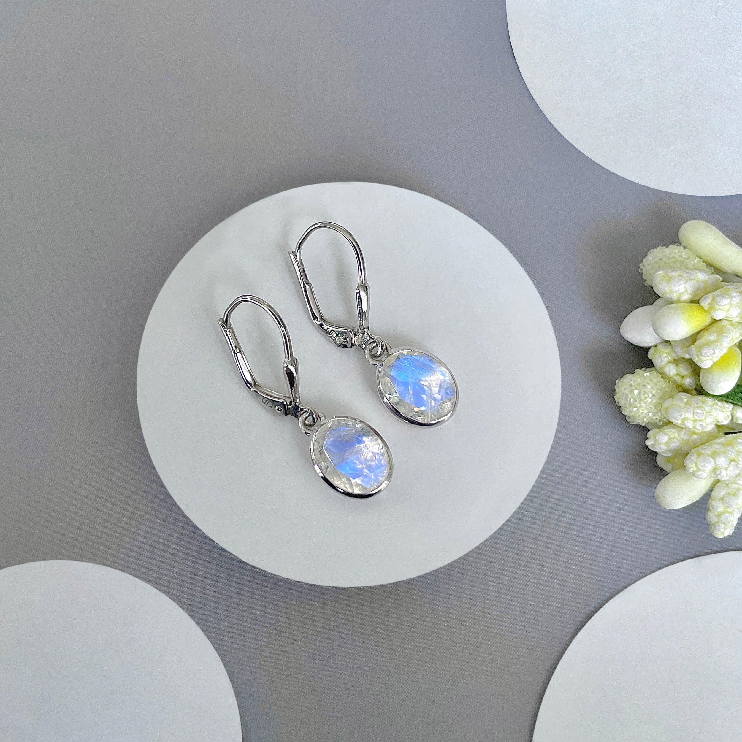 Moonstone Leverback Earrings-(RBM-SE-998.)