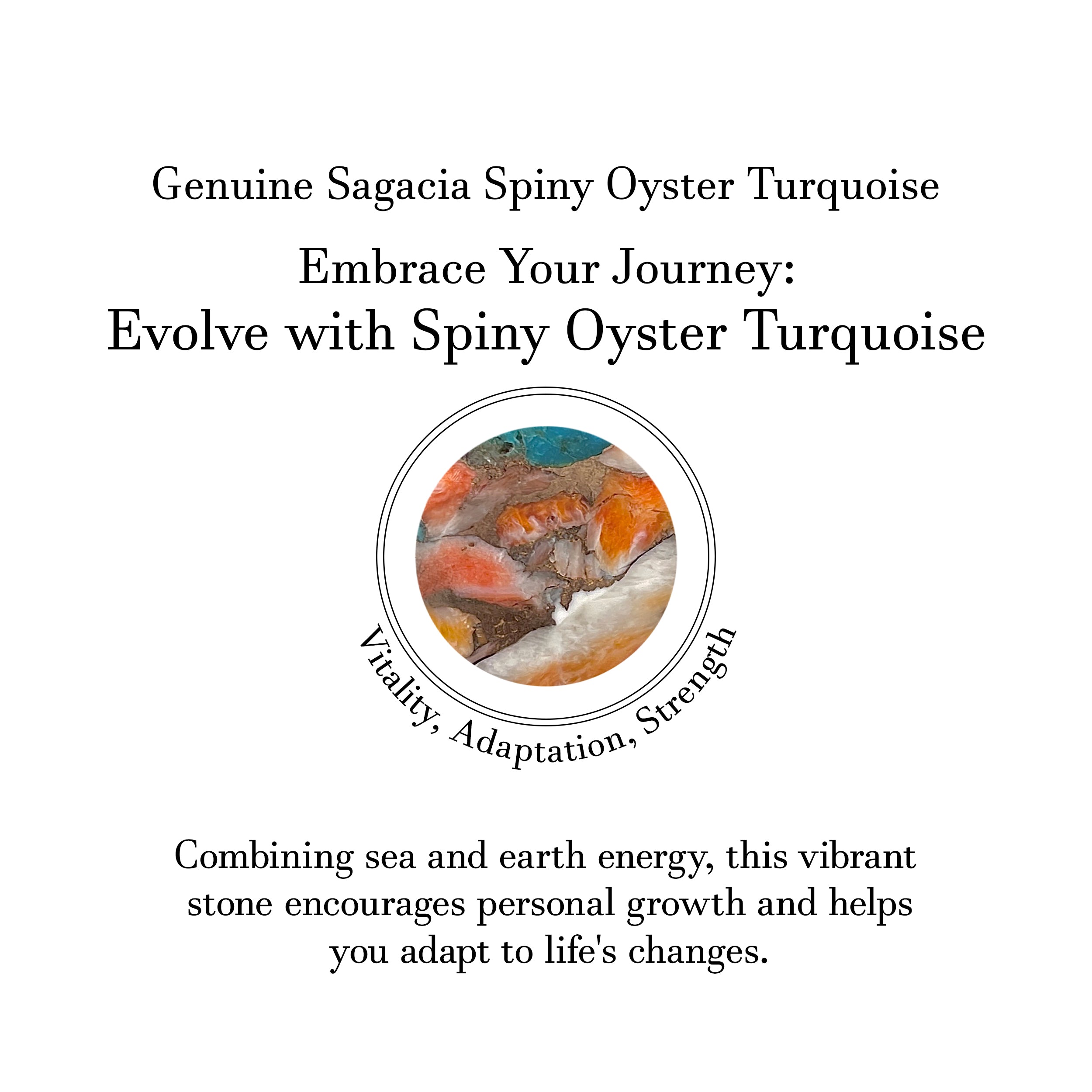 Spiny Oyster Turquoise Adjustable Ring-(TRO-R-71.)