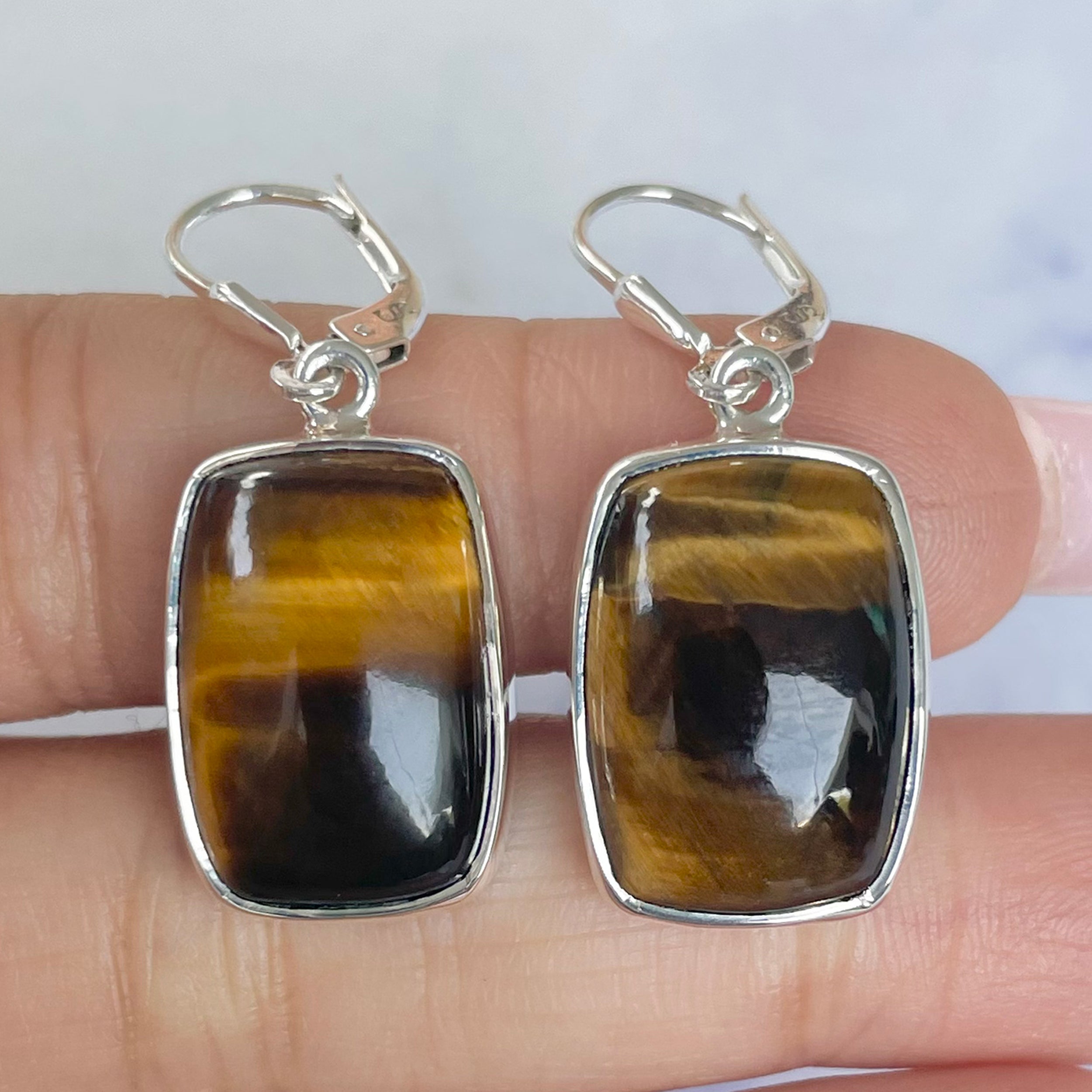Tiger Eye Earring-(TGE-E-18.)