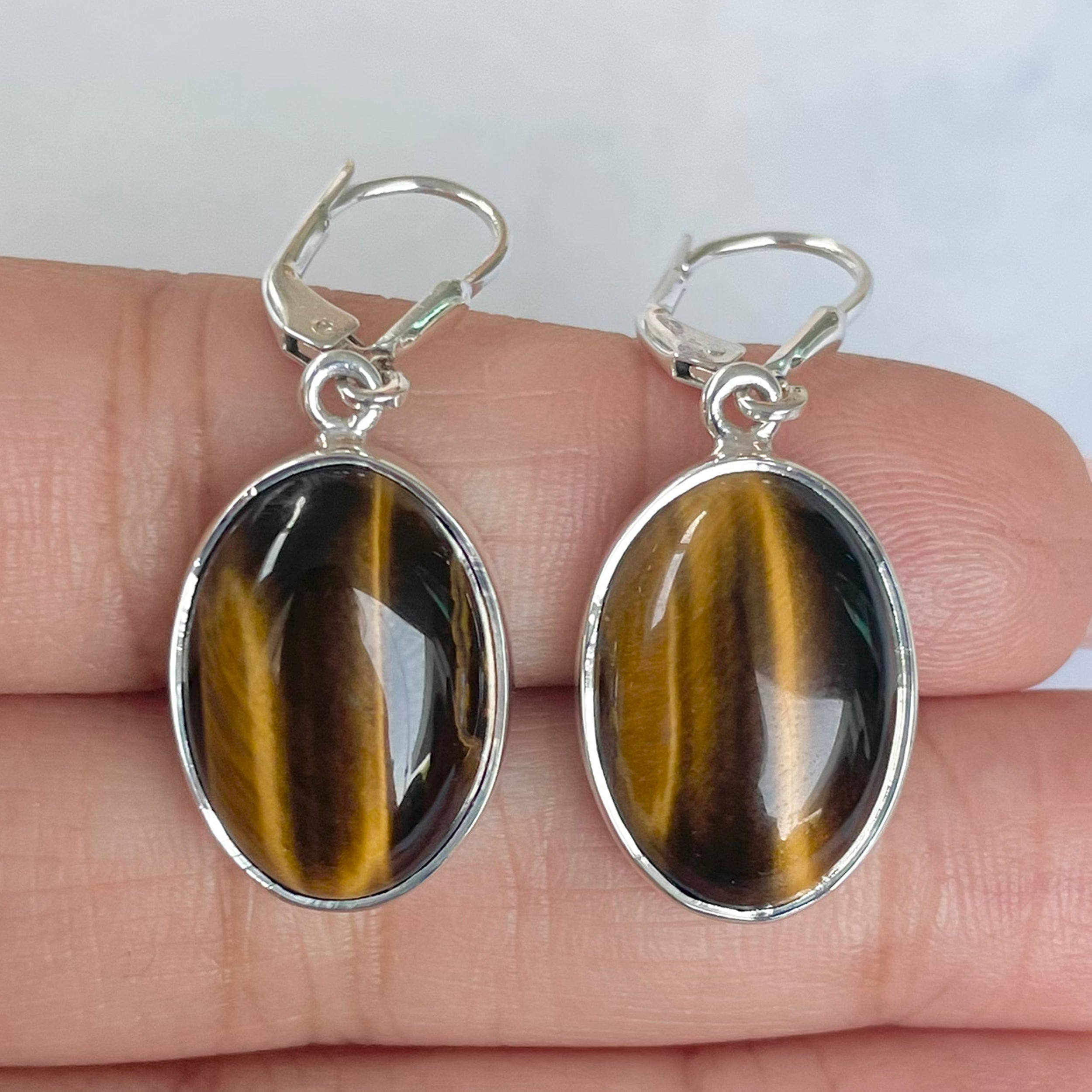 Tiger Eye Earring-(TGE-E-19.)