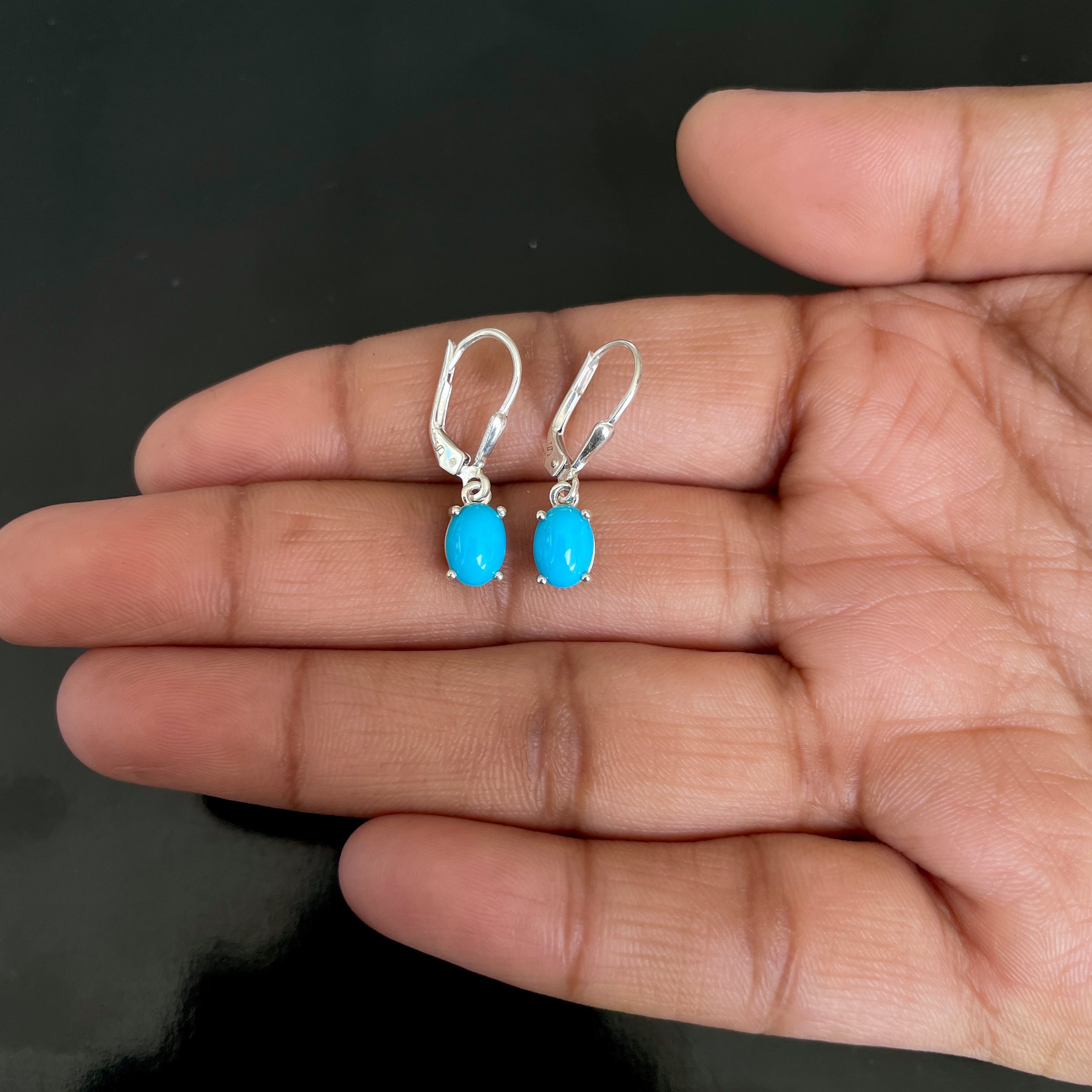 Turquoise Leverback Earring-(TRQ-SE-1128.)
