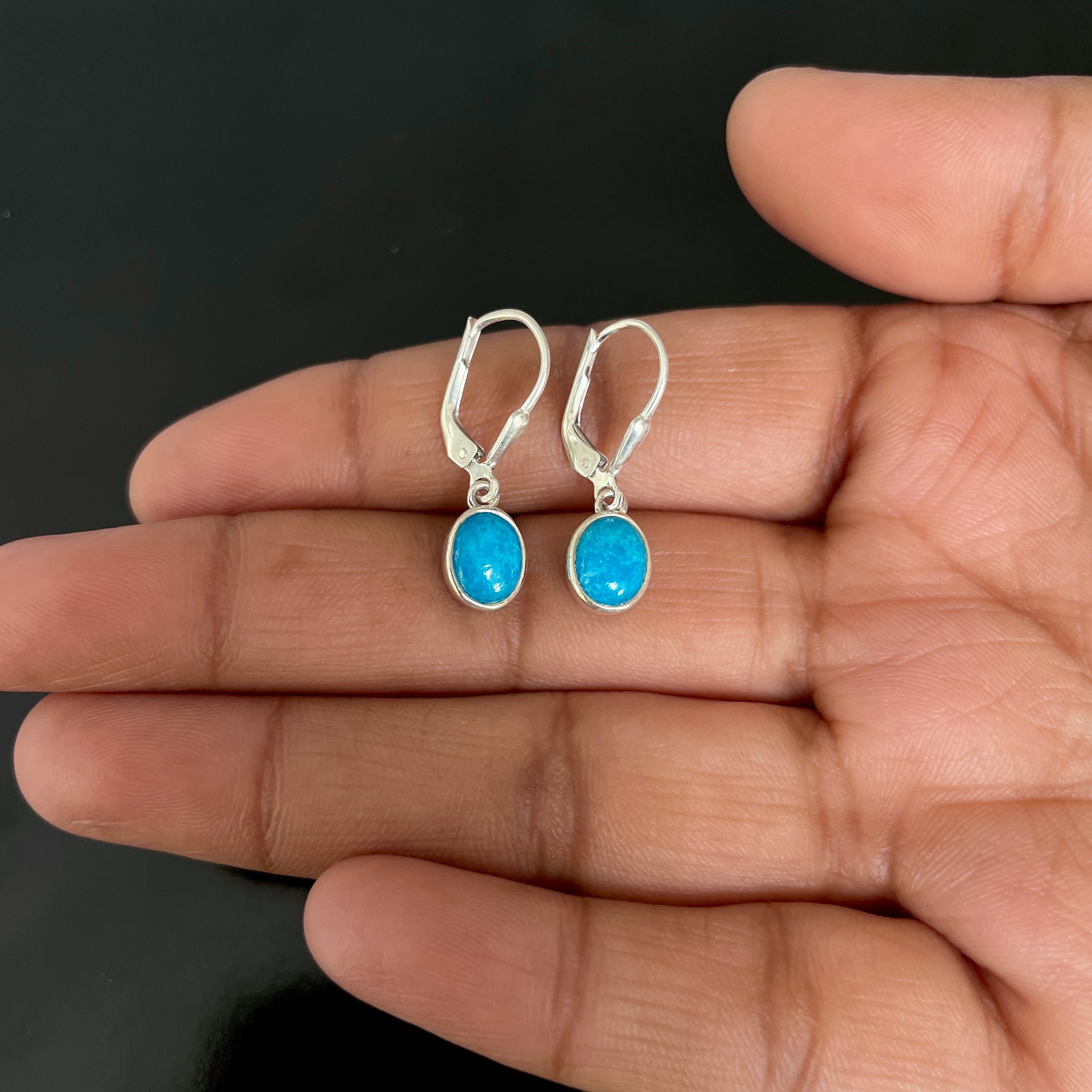 Turquoise Leverback Earring-(TRQ-SE-1242.)