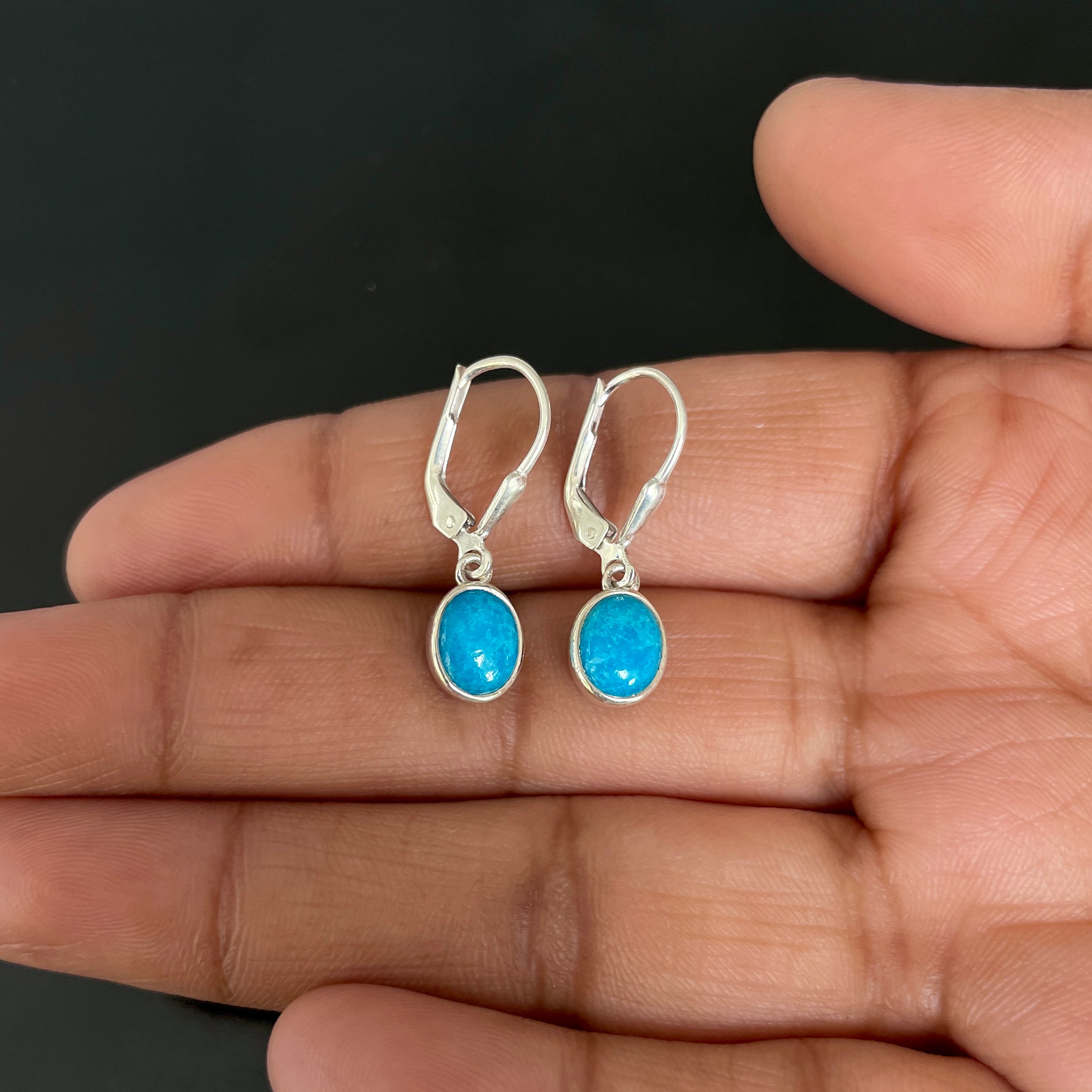 Turquoise Leverback Earring-(TRQ-SE-1242.)